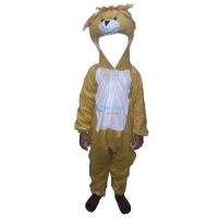 Fancy Dresses Lion Kids Costume SRC4833