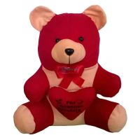 Savvy Teddy Bear with Heart SRT4919