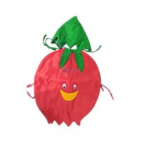 Fancy Dresses Pomegranate Kids Costume SRC5597