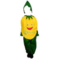 Fancy Dresses Pineapple Kids Costume SRC5618