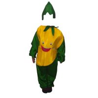 Fancy Dresses Mango Kids Costume SRC4825 - 36