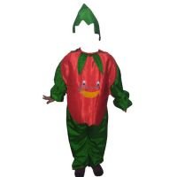 Fancy Dresses Tomato Kids Costume SRC4824