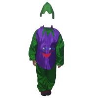 Fancy Dresses Brinjal Kids Costume SRC4826