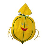 Fancy Dresses Papaya for Kids Costume SRC5556