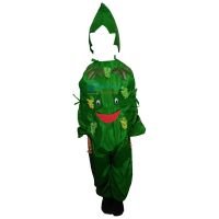 Fancy Dresses Grapes Kids Costume SRC5594