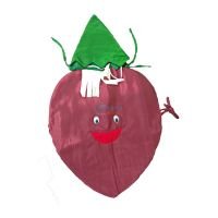 Fancy Dresses Onion Kids Costume SRC5600