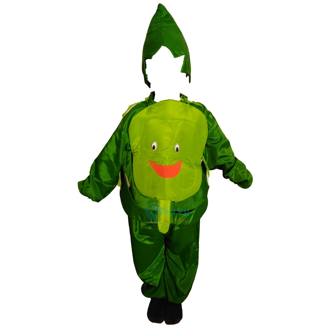 Fancy Dresses Cabbage (Band Gobhi or Patta Gobhi) Kids Costume SRC5604