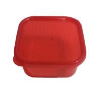 Savvy Red Lunch Box for kids SRK6707