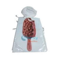 Fancy Dresses Chocobar Costume SRC5687