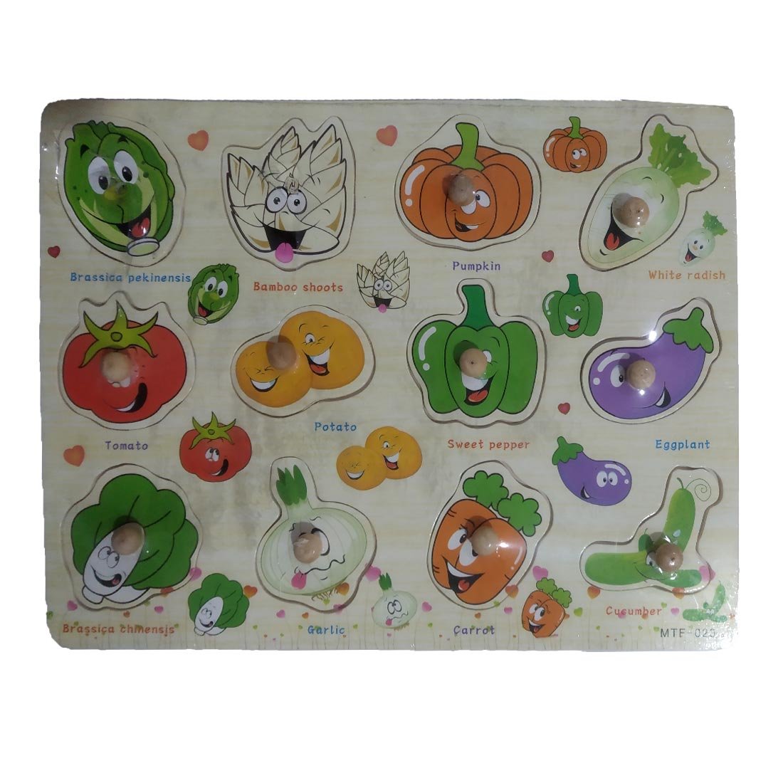 Savvy Wooden Puzzle with Pegs - Multicolour SRT6267
